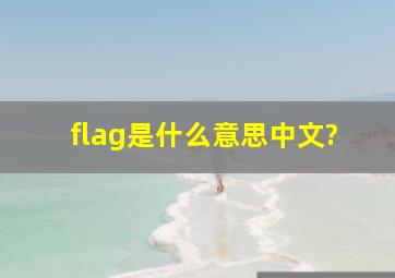 flag是什么意思中文?