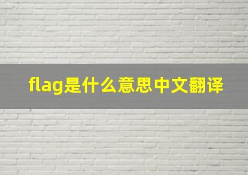 flag是什么意思中文翻译