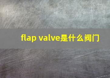 flap valve是什么阀门