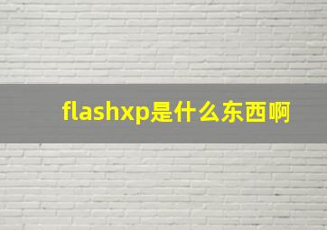 flashxp是什么东西啊