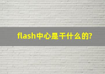 flash中心是干什么的?