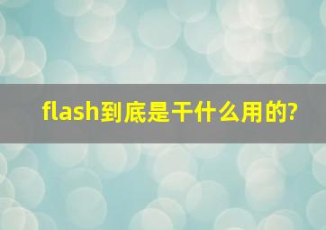 flash到底是干什么用的?
