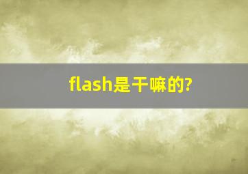 flash是干嘛的?