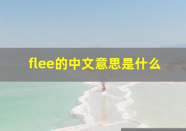 flee的中文意思是什么