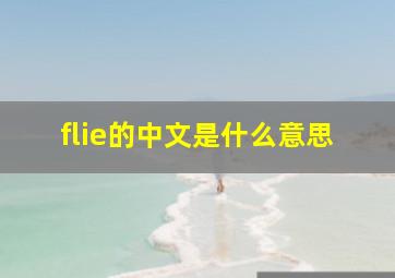 flie的中文是什么意思(