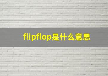 flipflop是什么意思