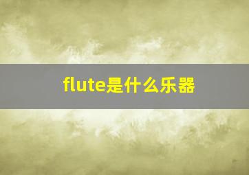 flute是什么乐器