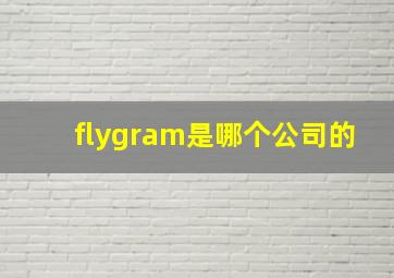 flygram是哪个公司的(