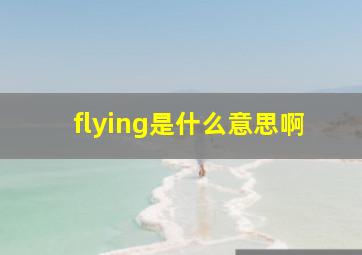 flying是什么意思啊