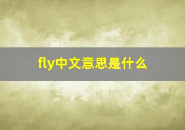 fly中文意思是什么