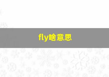 fly啥意思