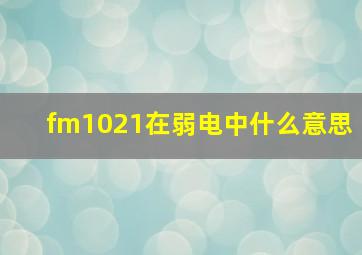 fm1021在弱电中什么意思