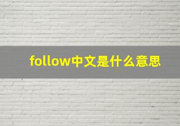 follow中文是什么意思