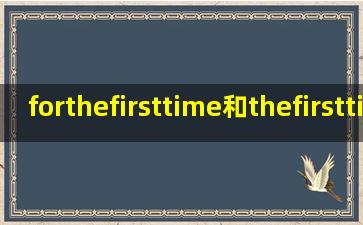forthefirsttime和thefirsttime和atthefirsttime有什么区别?