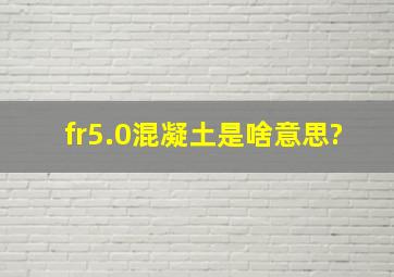 fr5.0混凝土是啥意思?