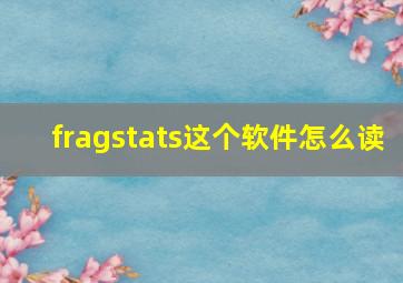 fragstats这个软件怎么读