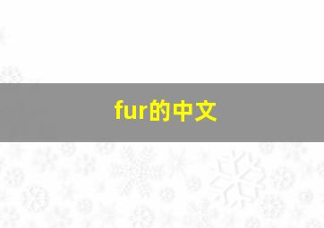 fur的中文(