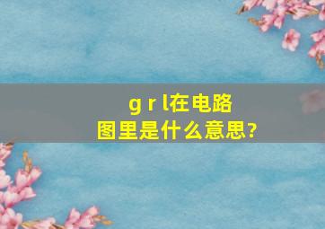 g r l在电路图里是什么意思?