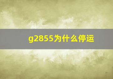 g2855为什么停运