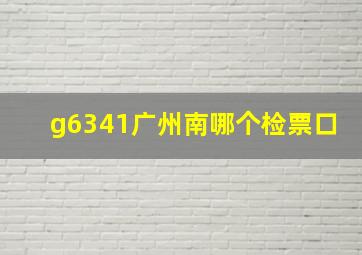 g6341广州南哪个检票口