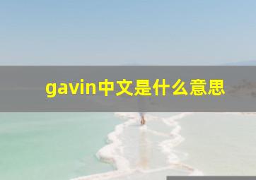 gavin中文是什么意思