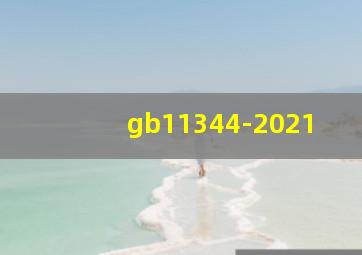 gb11344-2021
