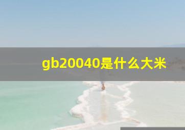 gb20040是什么大米(