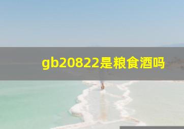 gb20822是粮食酒吗(