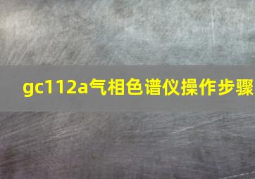 gc112a气相色谱仪操作步骤