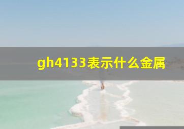 gh4133表示什么金属