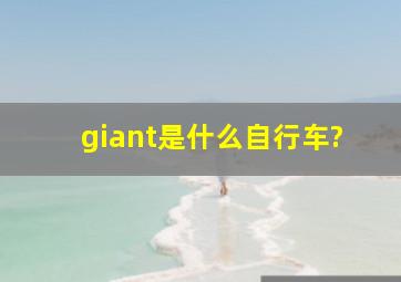 giant是什么自行车?