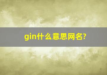 gin什么意思网名?