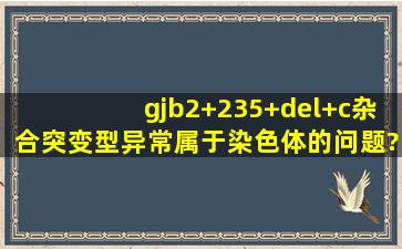 gjb2+235+del+c杂合突变型异常属于染色体的问题?