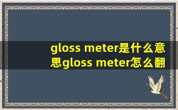 gloss meter是什么意思gloss meter怎么翻译及发音