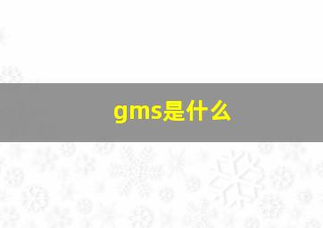 gms是什么