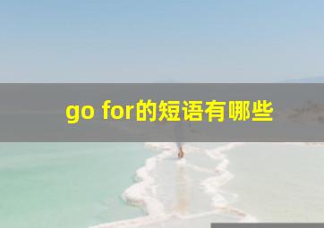 go for的短语有哪些