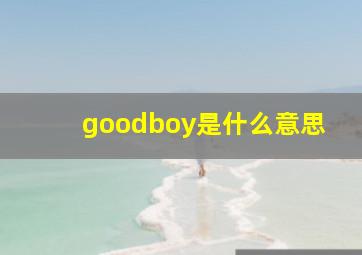 goodboy是什么意思