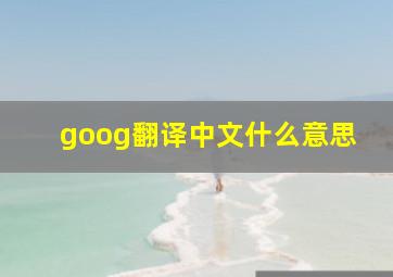 goog翻译中文什么意思