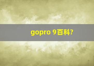 gopro 9百科?