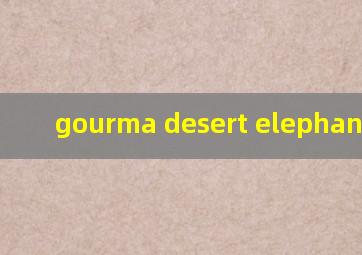 gourma desert elephant翻译