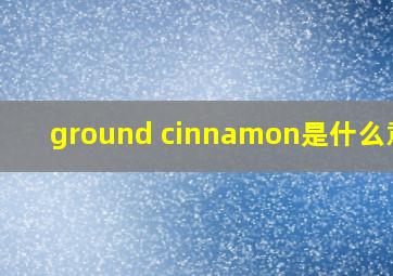 ground cinnamon是什么意思
