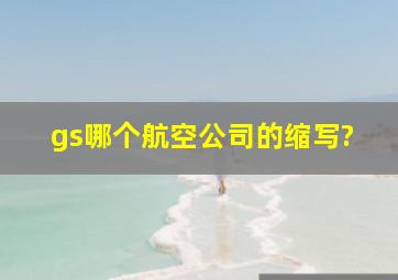 gs哪个航空公司的缩写?