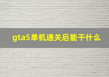 gta5单机通关后能干什么