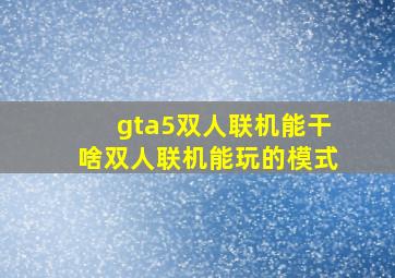 gta5双人联机能干啥双人联机能玩的模式