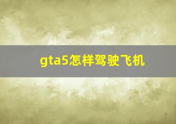 gta5怎样驾驶飞机