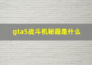 gta5战斗机秘籍是什么 