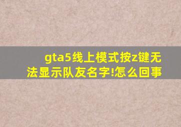 gta5线上模式按z键,无法显示队友名字!怎么回事