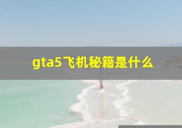 gta5飞机秘籍是什么 