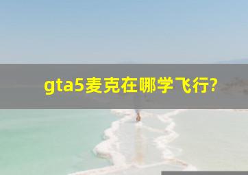 gta5麦克在哪学飞行?