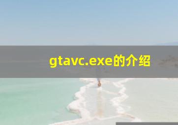 gtavc.exe的介绍
